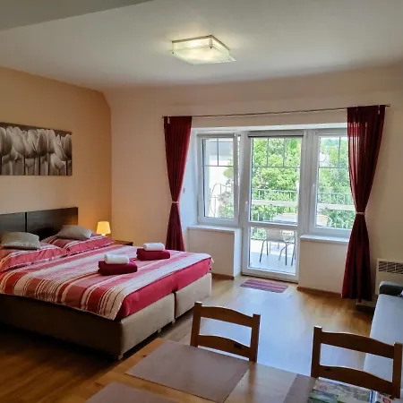 Bohemica Apartments Decin Exterior photo