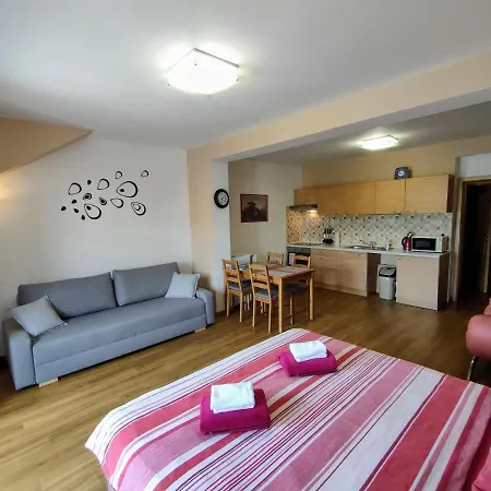 Bohemica Apartments Decin Exterior photo