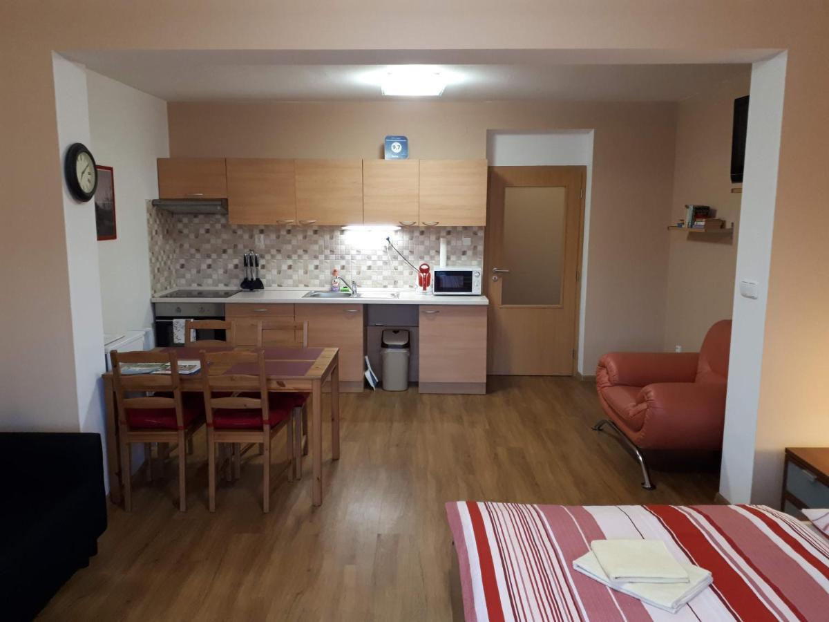Bohemica Apartment Decin